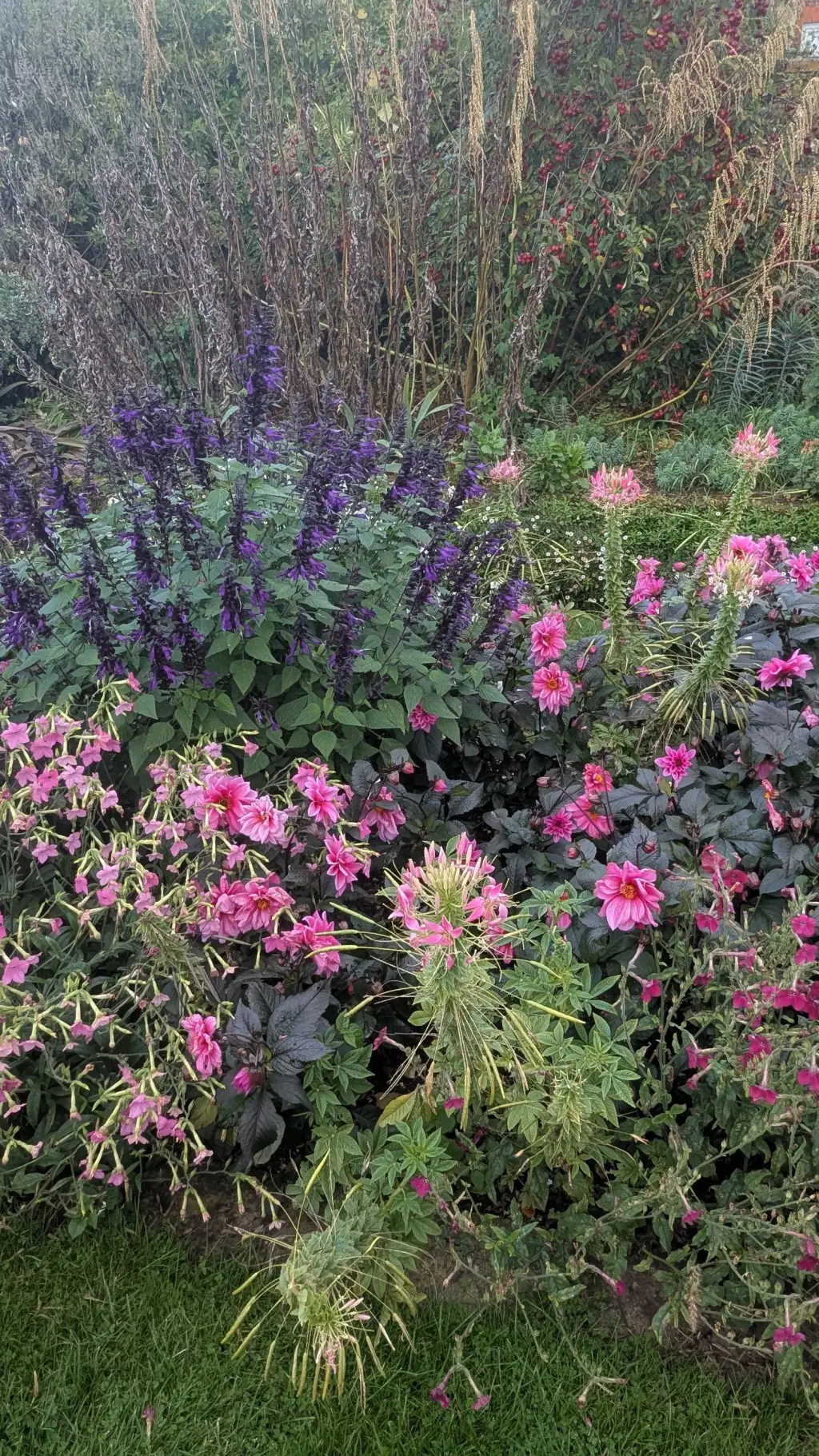 ai character: Free Therapy! background