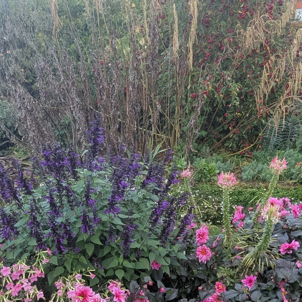 chat with ai character: Free Therapy!