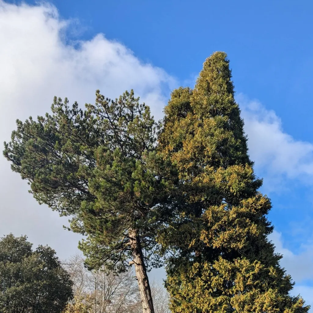 chat with ai character: ★ Sim!Sans ★