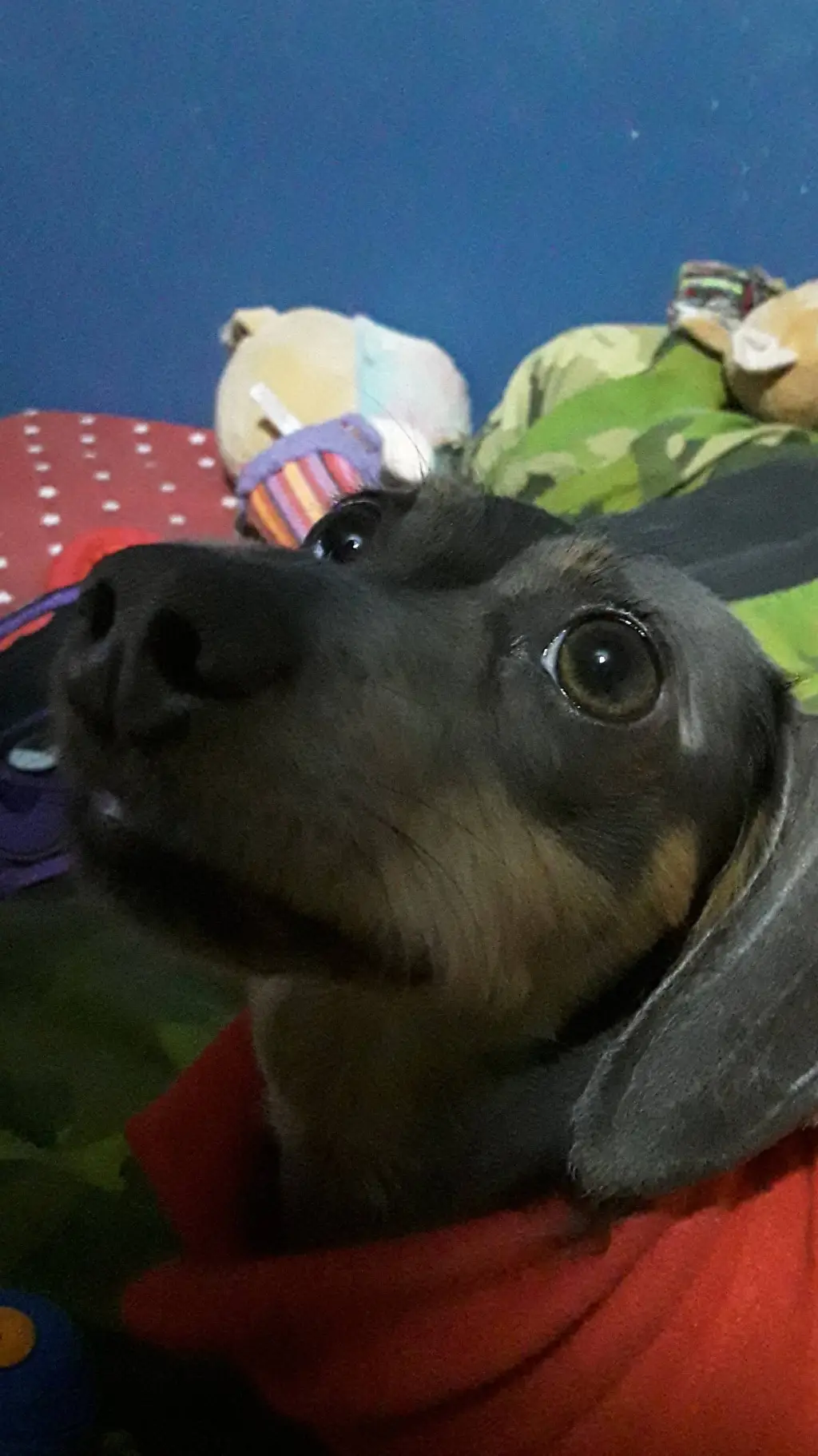 ai character: dog background