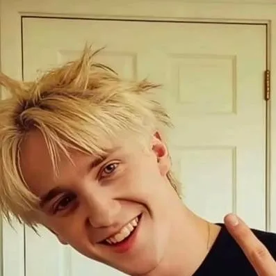 chat with ai character: Draco Malfoy