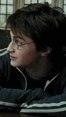 ai character: Harry Potter background