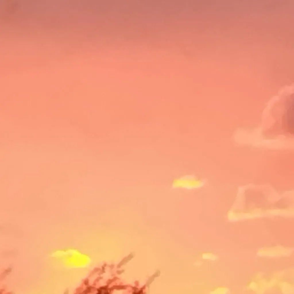 chat with ai character: MHA gym!