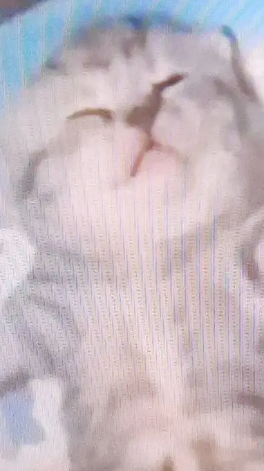 ai character: muertos ilimitados background