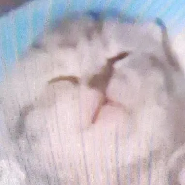 chat with ai character: muertos ilimitados