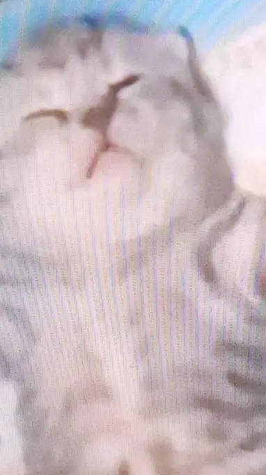 ai character: espearton zombie background