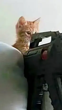 ai character: trio background