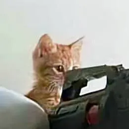 chat with ai character: trio