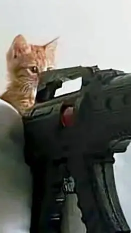 ai character: guerrera  background