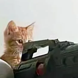 chat with ai character: guerrera 