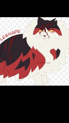 Talkie AI - Chat with Mapleshade