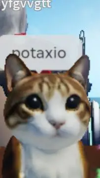 ai character: gato duo background