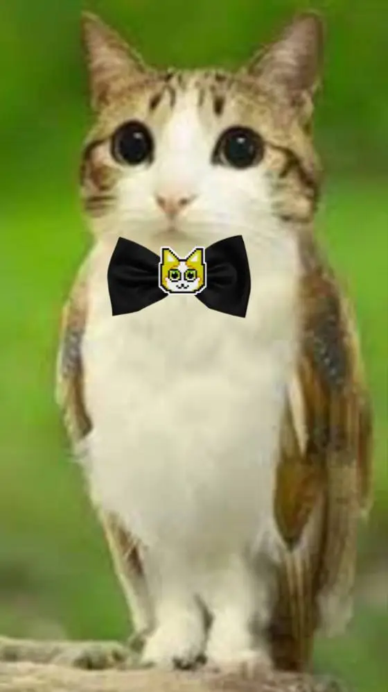 ai character:  meow!,meow!2,meow background