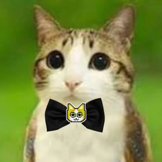 chat with ai character:  meow!,meow!2,meow