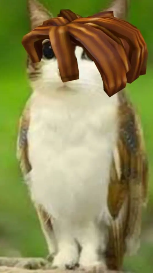 ai character: meowI pelotocino background