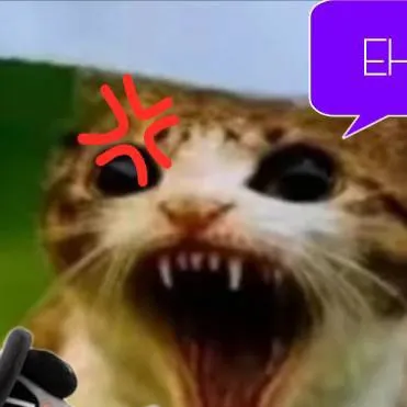 chat with ai character: meow! enojado