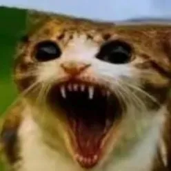 chat with ai character: meowI? 