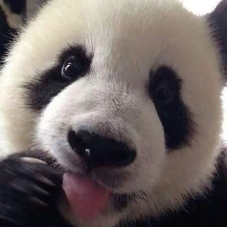 chat with ai character: Baby panda