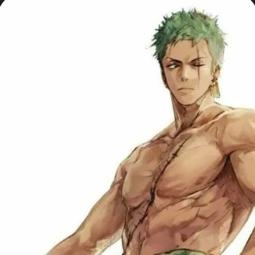 chat with ai character: zoro(one piece)