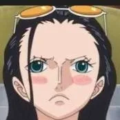 chat with ai character: robin 