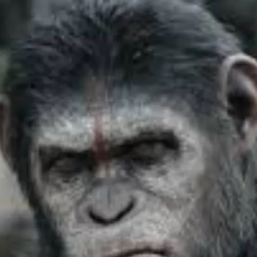 chat with ai character: planet of the apes