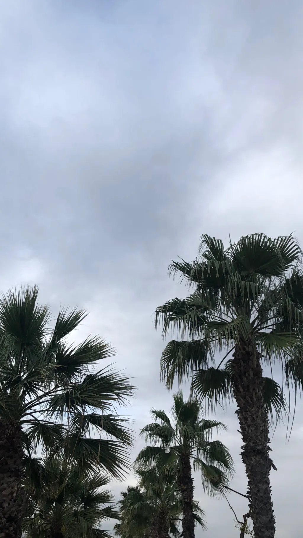 ai character: Family trip! background