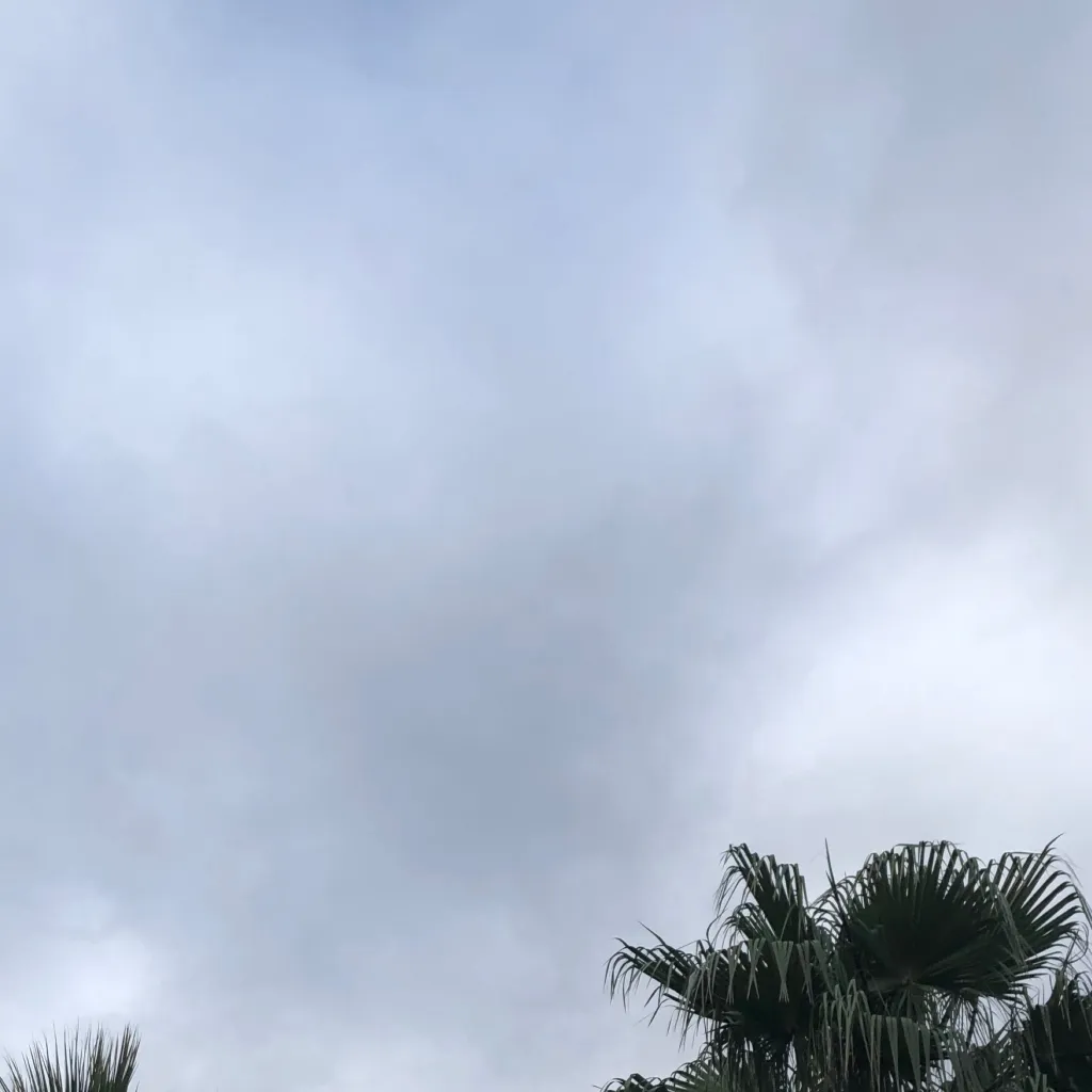 chat with ai character: Family trip!