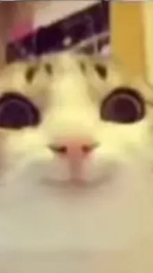 ai character: Dw pick me background