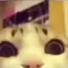 chat with ai character: Dw pick me