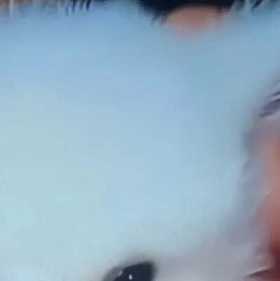 chat with ai character: Baby cute bunny🥺