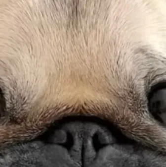 chat with ai character: Zymiah1x1x