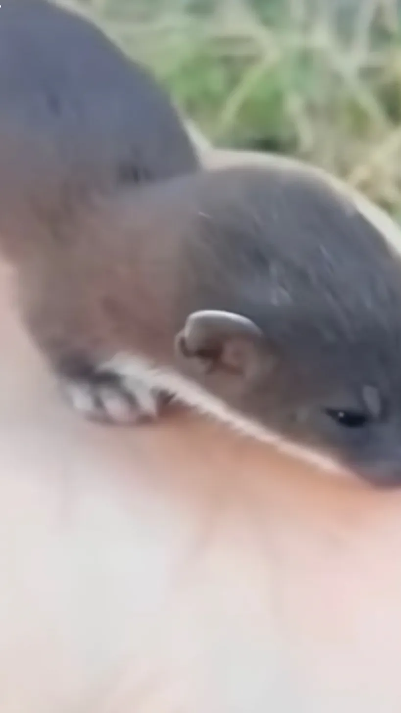 ai character: Alberto  background