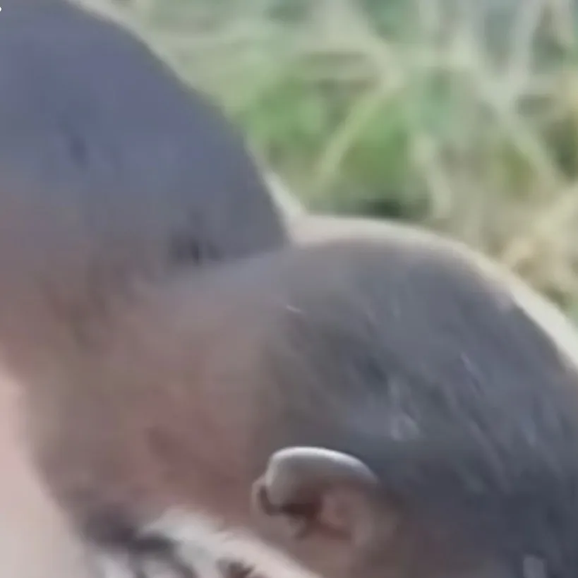 chat with ai character: Alberto 