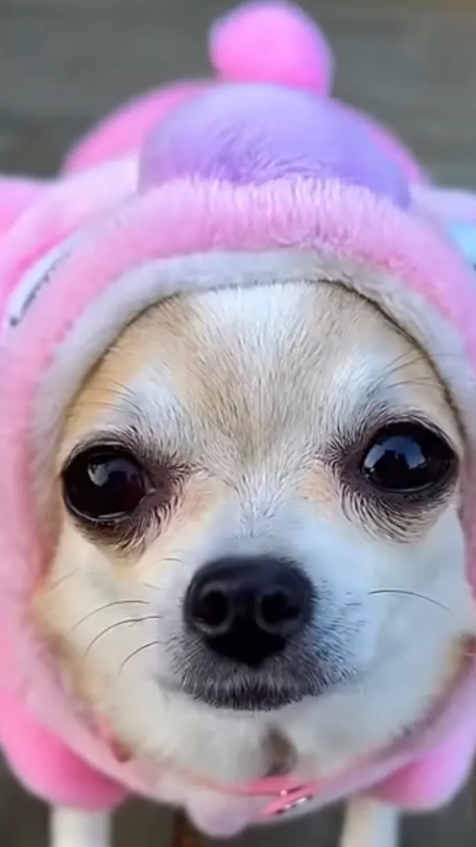 ai character:  Baby Dyle  background