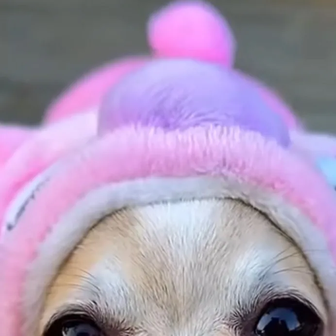 chat with ai character:  Baby Dyle 