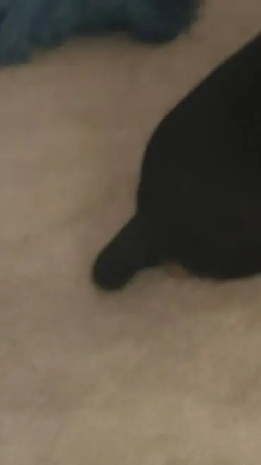 ai character: Power school pt. 2 background