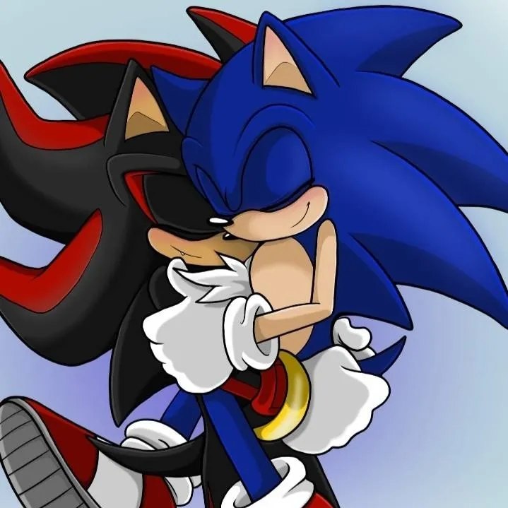 chat with ai character: Sonadow