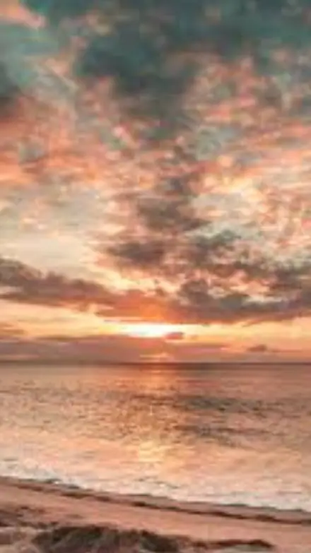 ai character: High School background