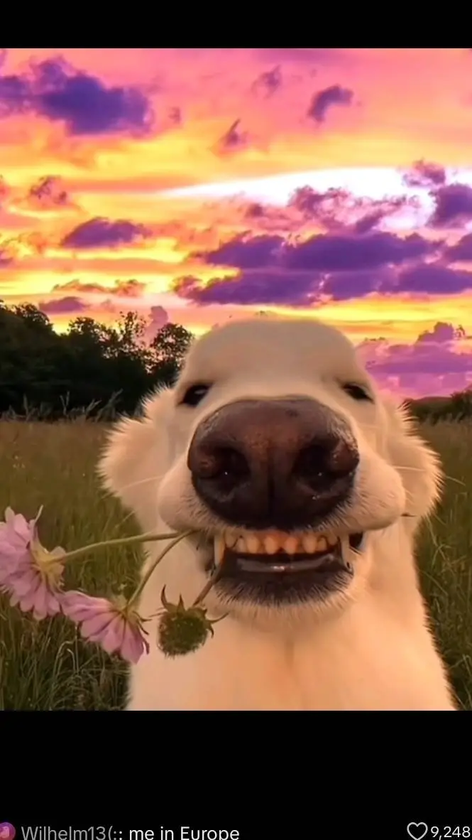 ai character: Fpe my au again-_- background