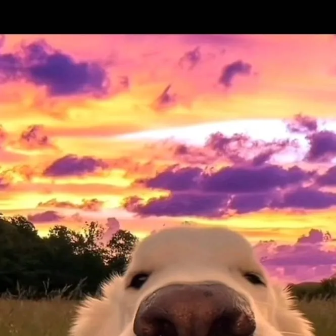 chat with ai character: Fpe my au again-_-