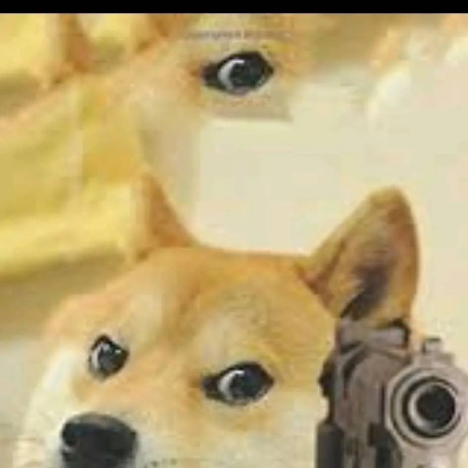 chat with ai character: DOGE