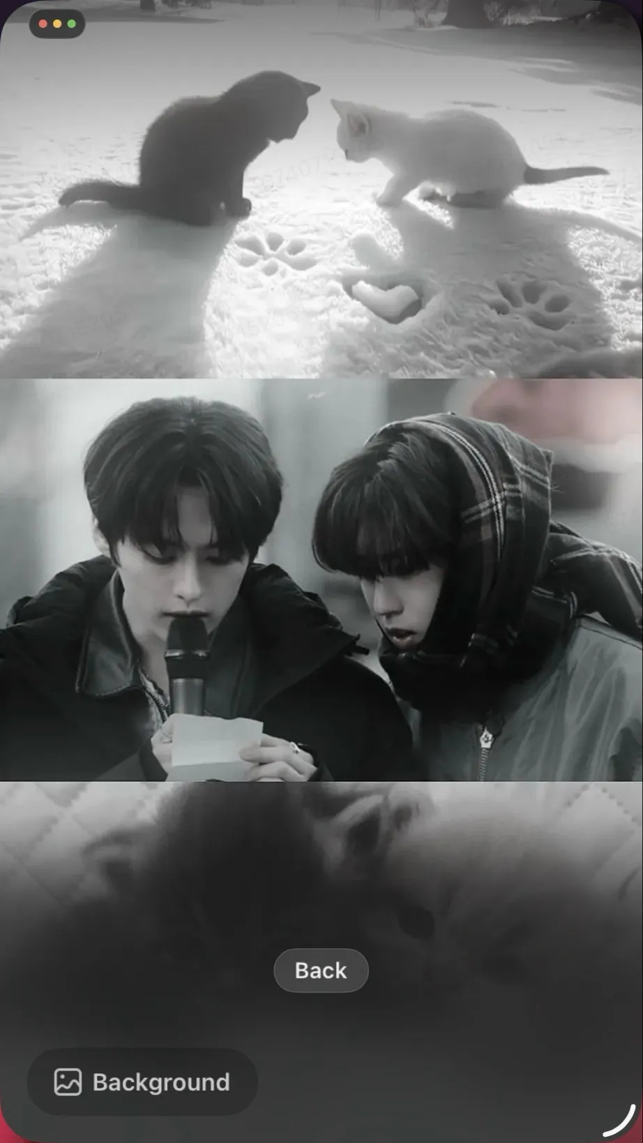 ai character: SKZ background