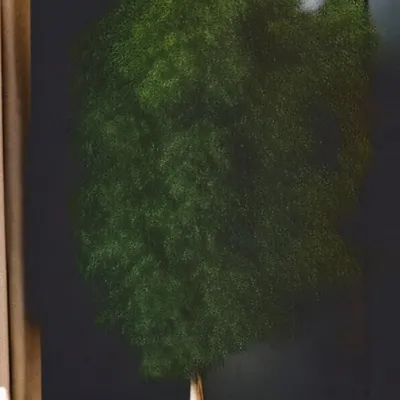 chat with ai character: Spunki world 