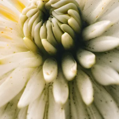 chat with ai character: Smart micphone 