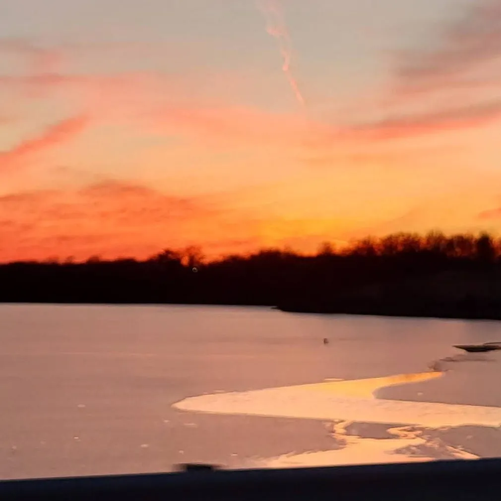 chat with ai character: KNY (With my OC)