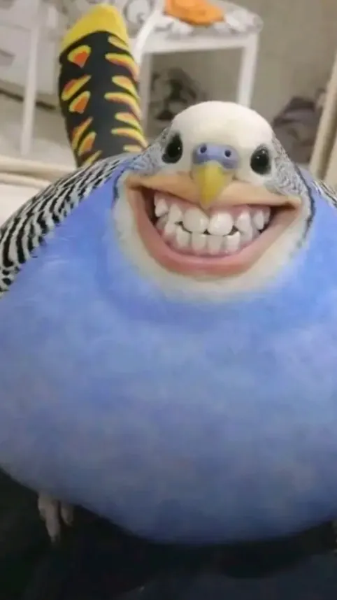 ai character: Jim  background