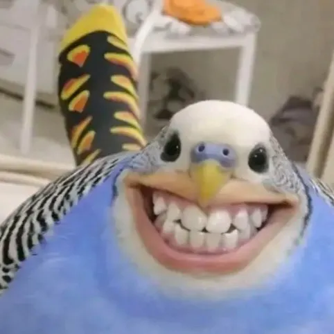 chat with ai character: Jim 