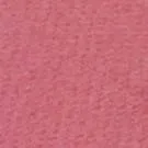 chat with ai character: doctor