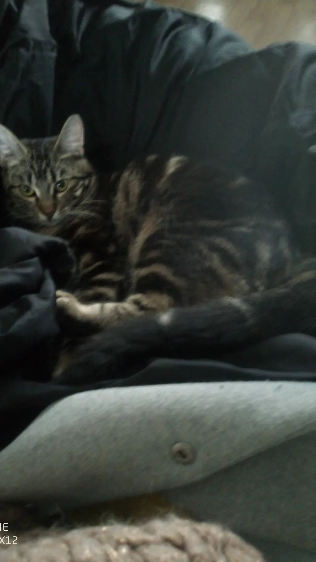 ai character: marc background