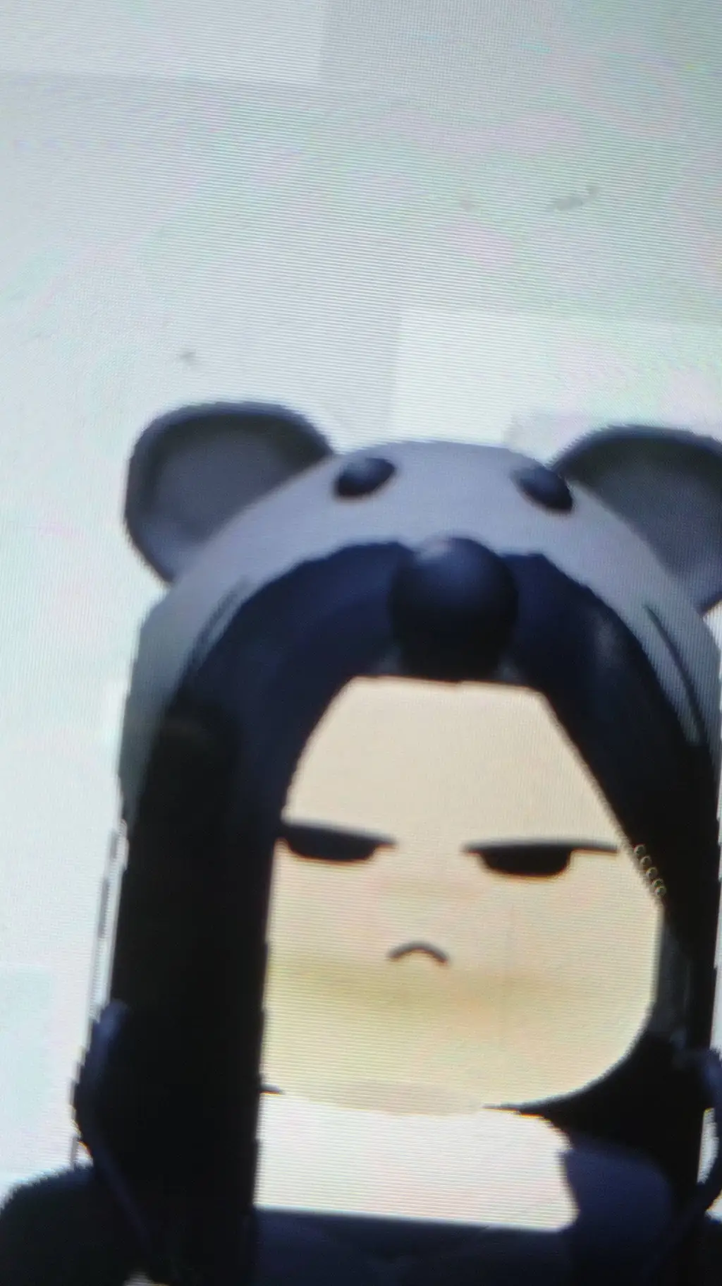 ai character: koala sis background